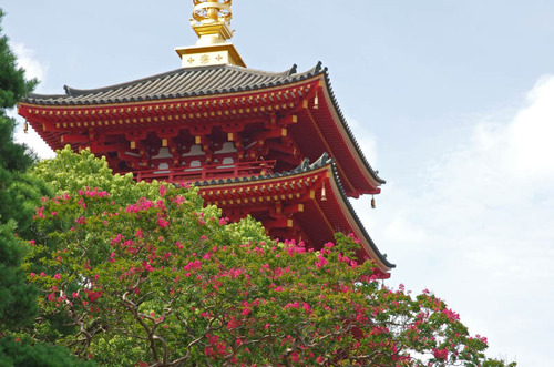 高幡不動201409-9
