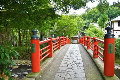 伊豆竹林の小径
