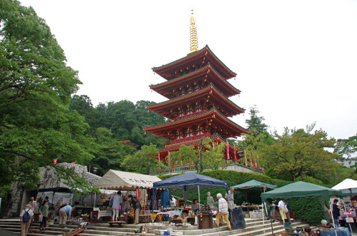 高幡不動201408-11