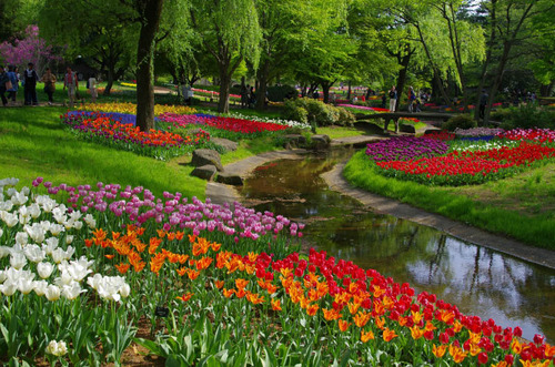 昭和記念公園201304-10