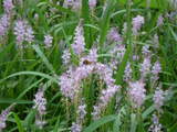 ¶á½ê¤Î½©£²-4