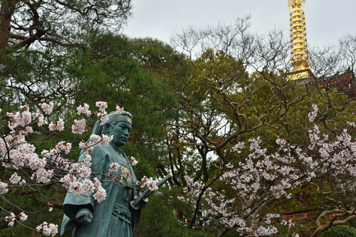高幡不動尊201604-9
