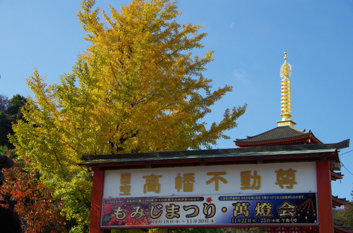 高幡不動201111-13