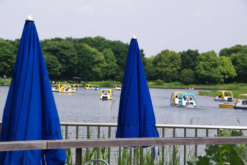 昭和記念公園水辺201006-11