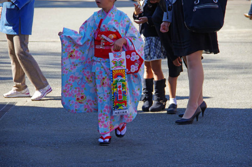 高幡不動201111-4