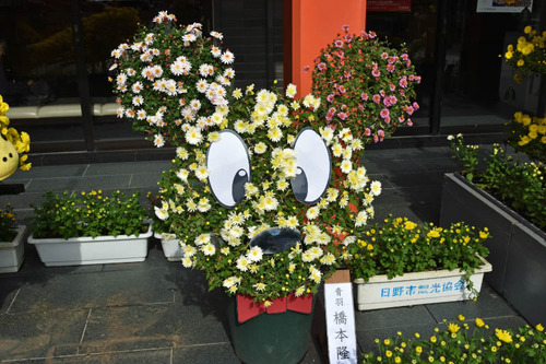 菊まつり2015