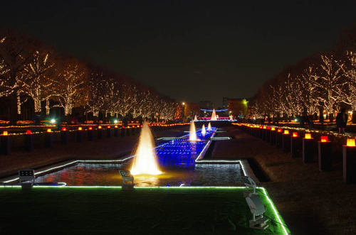 昭和記念公園201312-6