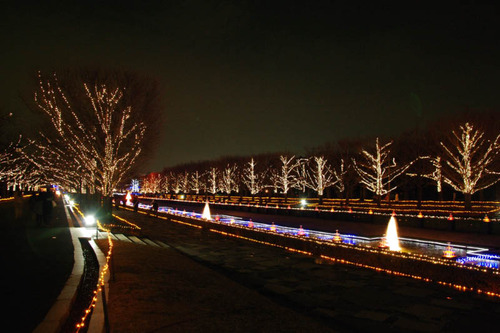 昭和記念公園イルミネーション-4
