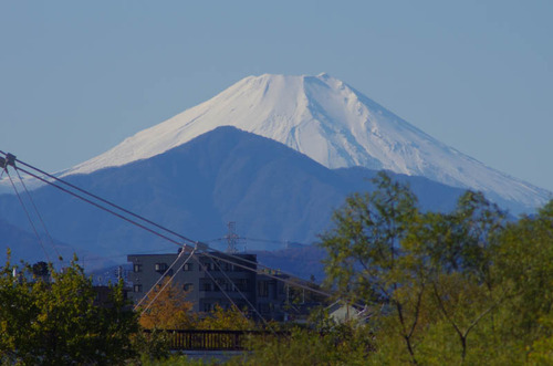 ÀõÀî²ÏÀîÉß201112-1