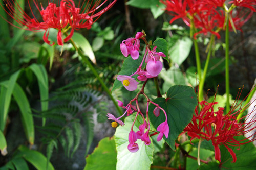 道志キャンプ201009-3