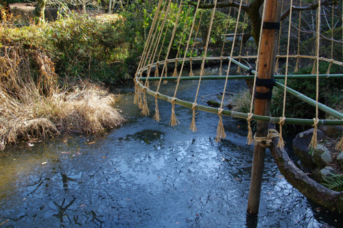 京王百草園201101-11