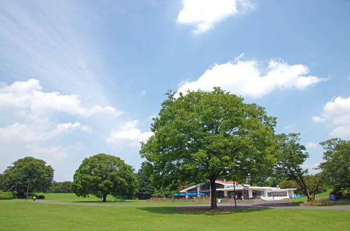 昭和記念公園201408-4