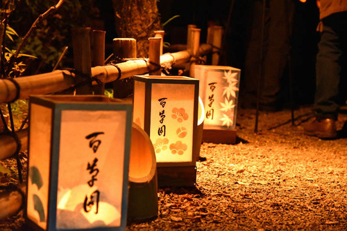 京王百草園2015-5