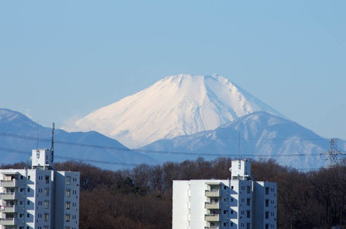 京王百草園201401-12