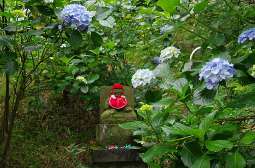 高幡不動あじさい祭り201106-8