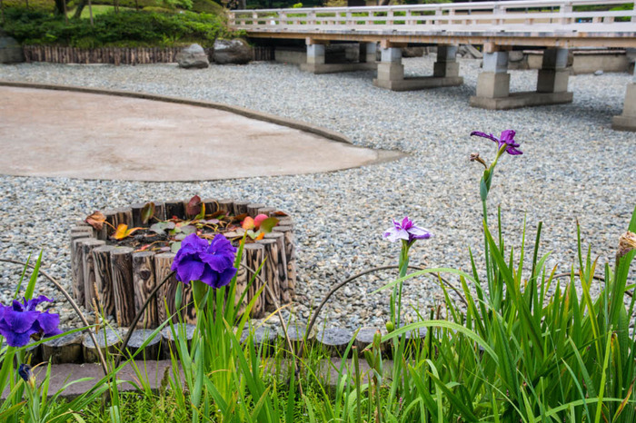 昭和記念公園201806