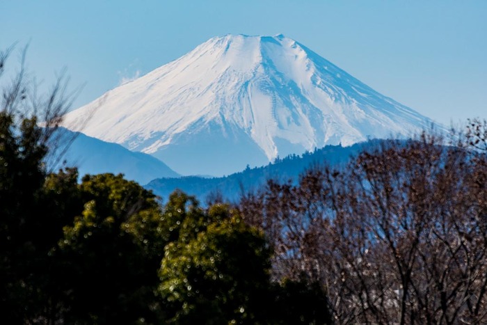 昭和記念公園201901