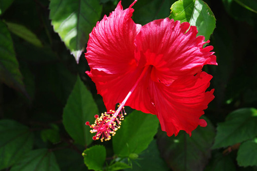夏休み201008-10