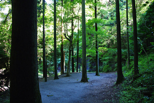 道志キャンプ201009-14