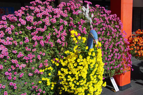高幡不動201111-13