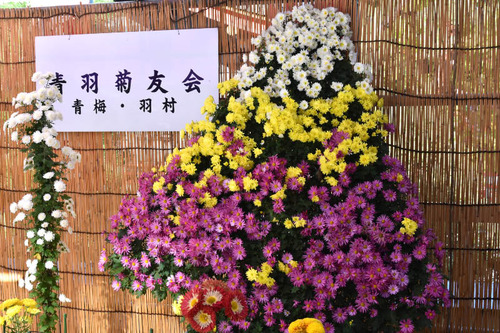 高幡不動尊201511-11