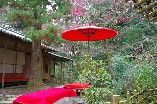 京王百草園201503-7
