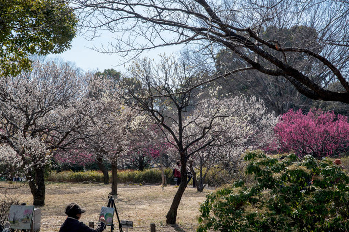 昭和記念公園201803