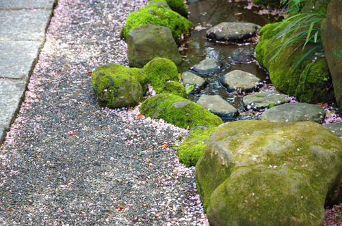 高幡不動201404-4