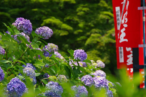 高幡不動201206-12