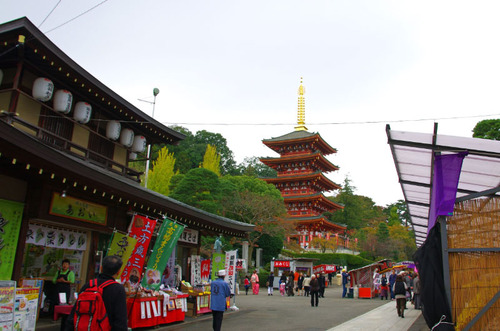 高幡不動ブルーライトアップ2013-1