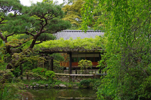 京王百草園201204-8