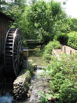 親水公園水車8