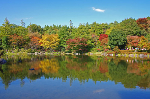 昭和記念公園201411-9