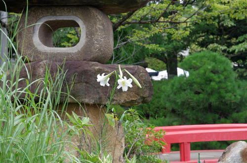 高幡不動201408-13