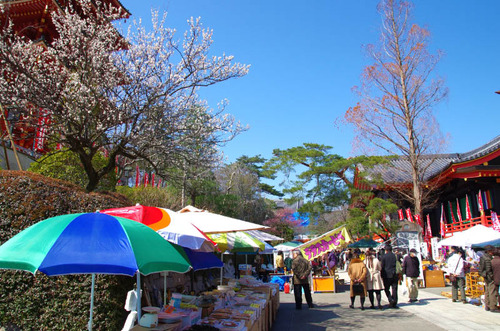 高幡不動201403-3