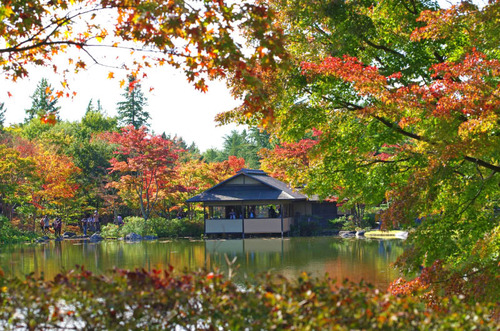 昭和記念公園201411-6