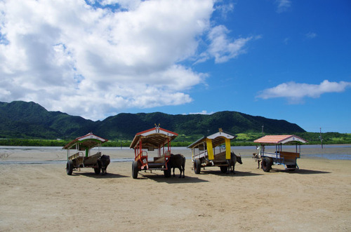 沖縄由布島2011-3