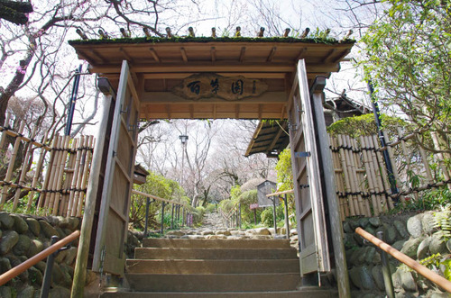 京王百草園201403-1