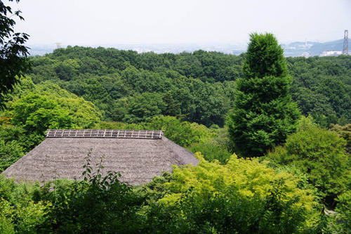 ɴ���201006-6