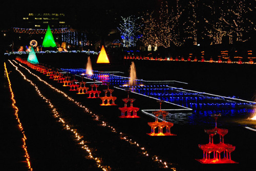 昭和記念公園イルミネーション201012-3