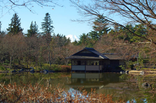 昭和記念公園201501-7