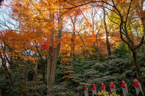 高幡不動尊201311-3