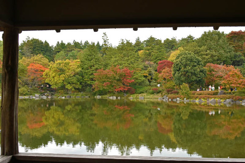 昭和記念公園201511-10