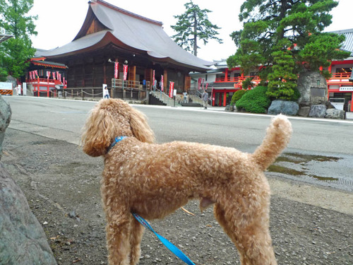 高幡不動201408-10