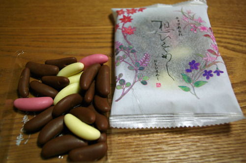 想ひそめし