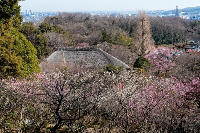 京王百草園201902