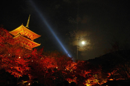 京都清水寺201211-10