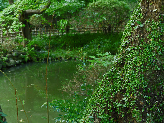 秋の百草園200910-4