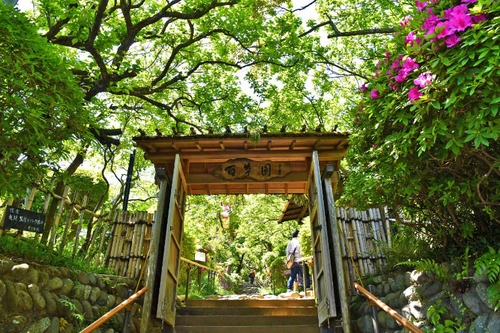 京王百草園201705