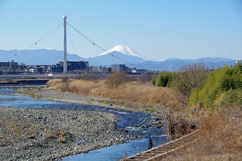 高幡不動尊20100124-11